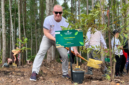 Perwakilan Kedutaan Besar Finlandia Teemu Laakkonen akut menanam pohon Salam di Kawasan miniatur Hutan hujan tropis, Ibu Kota Nusantara (IKN). Kawasan ini akan diintegrasikan dengan Taman Safari, Glamping, dan Pusat Anggrek sebagai kawasan ekowisata IKN.(KOMPAS.com/HILDA B ALEXANDER)
