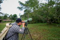 IKN Gelar Bird Race dan Lomba Fotografi Lanskap Pertama di Kalimantan - ikntimes.com